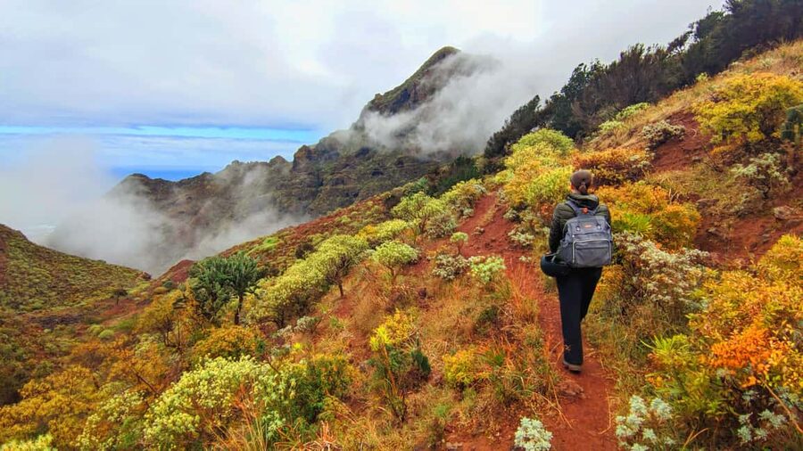 Tenerife: Hiking Tour in Anaga Mountains & Enchanted Forest - The exposed mountain section and the real challenge