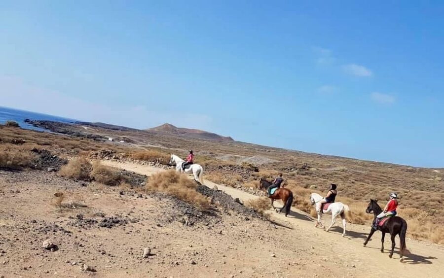 Tenerife: Horseback Ride with Instructor - From Xanadu to southern Tenerife’s volcanic hills