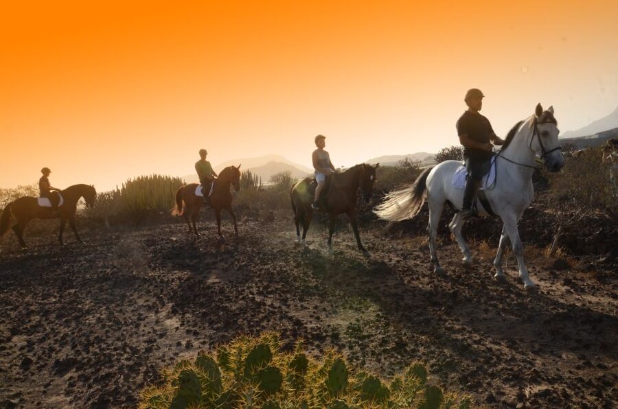 Tenerife: Horseback Ride with Instructor - Cacti, lava rock, and the view down to the sea