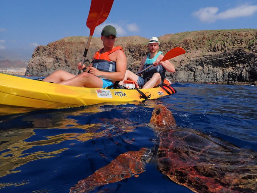 Tenerife: Kayak and Snorkel with Turtles, Wetsuits Included - Starting at Cristianmar in Los Cristianos
