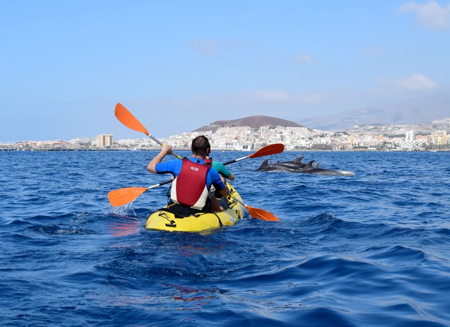 Tenerife: Kayak and Snorkel with Turtles, Wetsuits Included - Practical ways to enjoy the three hours