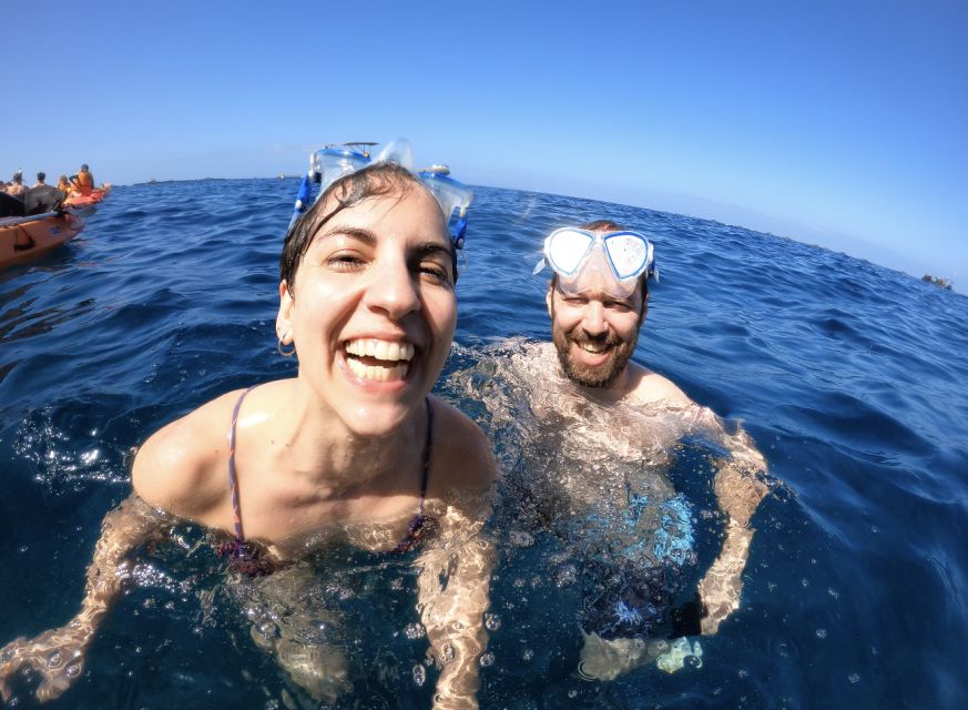 Tenerife: Kayak Safari and Sea Turtle Snorkeling with Photos - Should you book it?