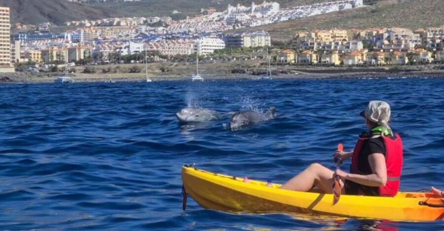 Tenerife: Kayak Safari and Sea Turtle Snorkeling with Photos - The route toward Montaña de Guaza