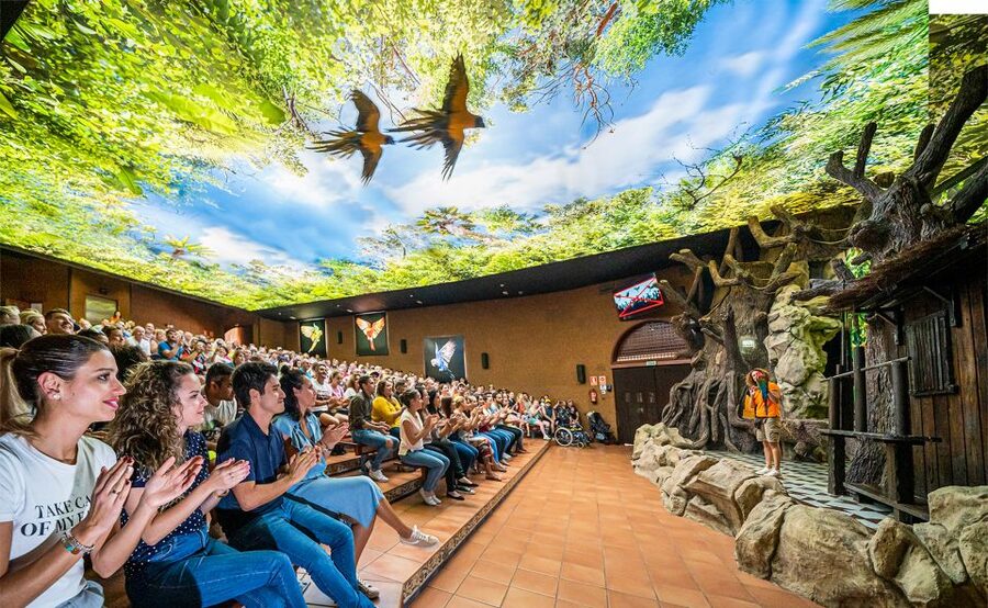 Tenerife: Loro Parque Entry Ticket - Key points to know before visiting