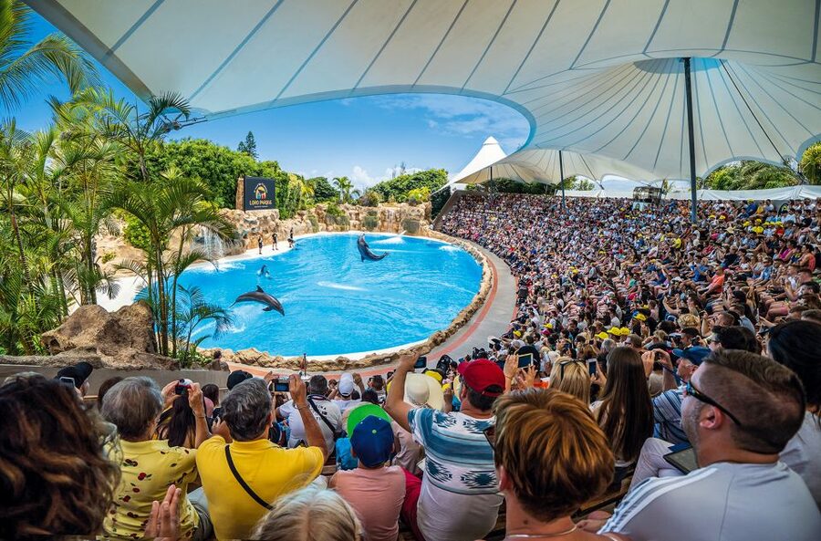Tenerife: Loro Parque Entry Ticket - Why Loro Parque takes a full day