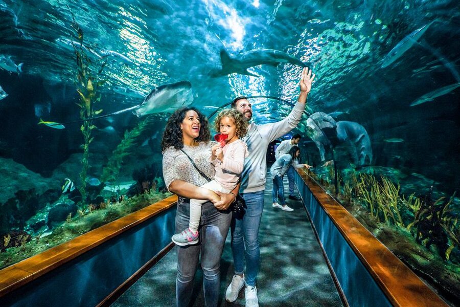 Tenerife: Loro Parque Entry Ticket - Penguins, aquariums, and the animals between shows