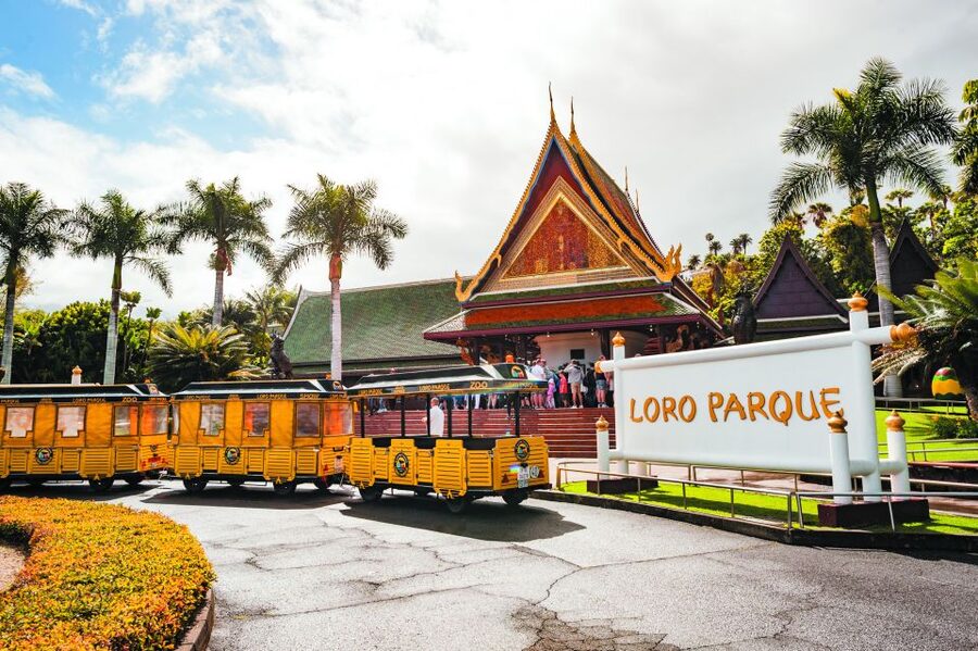 Tenerife: Loro Parque & Siam Park Entry Ticket with Transfer - Loro Parque: allow a full day in Puerto de la Cruz
