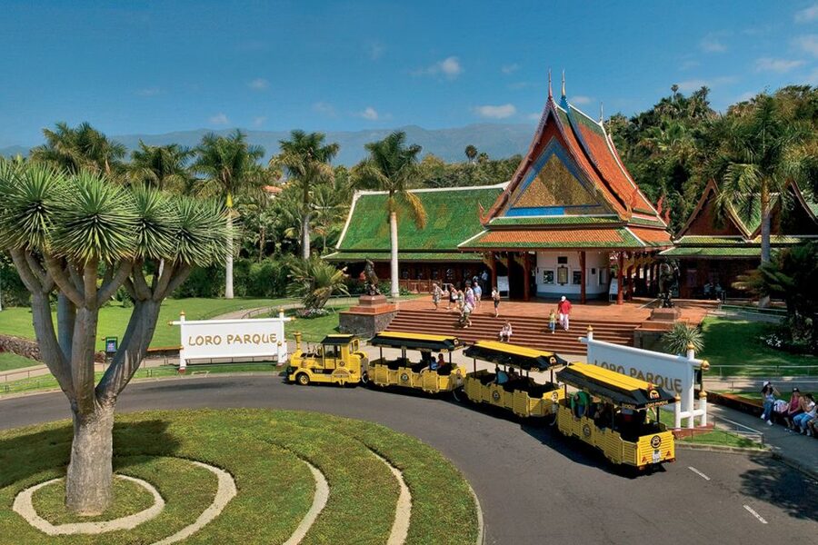 Tenerife: Loro Parque & Siam Park Entry Ticket with Transfer - Cancellation and booking flexibility