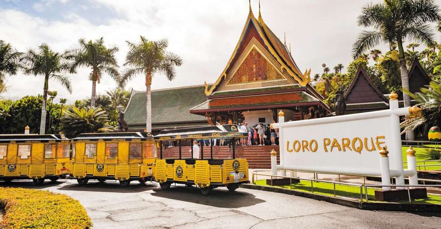 Tenerife: Loro Parque & Siam Park Entry Ticket with Transfer - The Loro Parque coach from Tenerife’s south