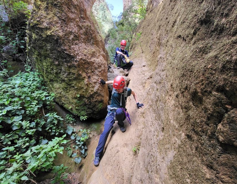 Tenerife: Los Arcos Canyoning Tour with Guide - Nature notes between the rope sections