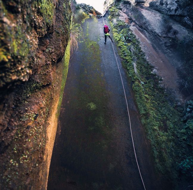 Tenerife: Los Arcos Canyoning Tour with Guide - Should you book this canyoning tour?