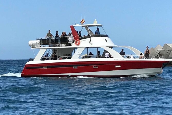 Tenerife Los Cristianos: Whale and Dolphin Eco-Yacht and Swim Stop - How the boat ride feels