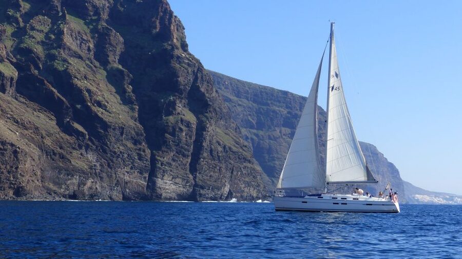 Tenerife: Los Gigantes Whale Watching Cruise by Sail Boat - Two hours looking for whales and dolphins