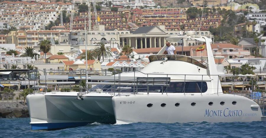 Tenerife: Marine-Life Tour with Transfer, Buffet and Drinks - Key points at a glance