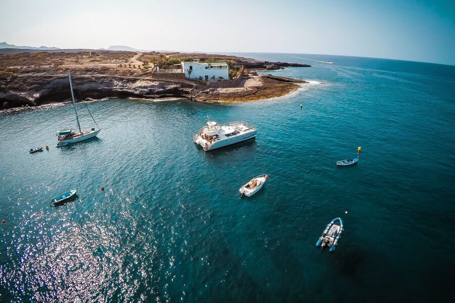 Tenerife: Marine-Life Tour with Transfer, Buffet and Drinks - Practical tips before you book