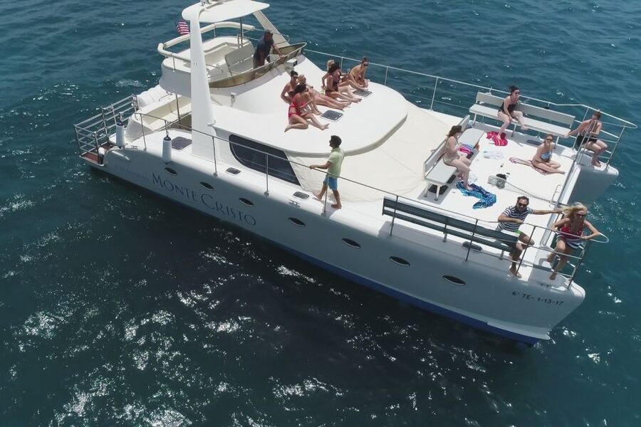 Tenerife: Marine-Life Tour with Transfer, Buffet and Drinks - Why pilot whales make this Tenerife boat trip special