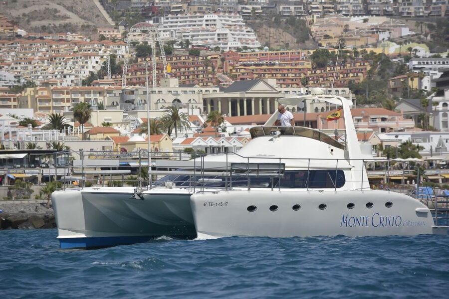 Tenerife: Marine-Life Tour with Transfer, Buffet and Drinks - Three hours with a clear, sensible rhythm