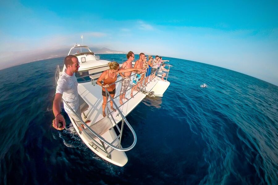 Tenerife: Marine-Life Tour with Transfer, Buffet and Drinks - Coastal views and the chance of a sunset finish