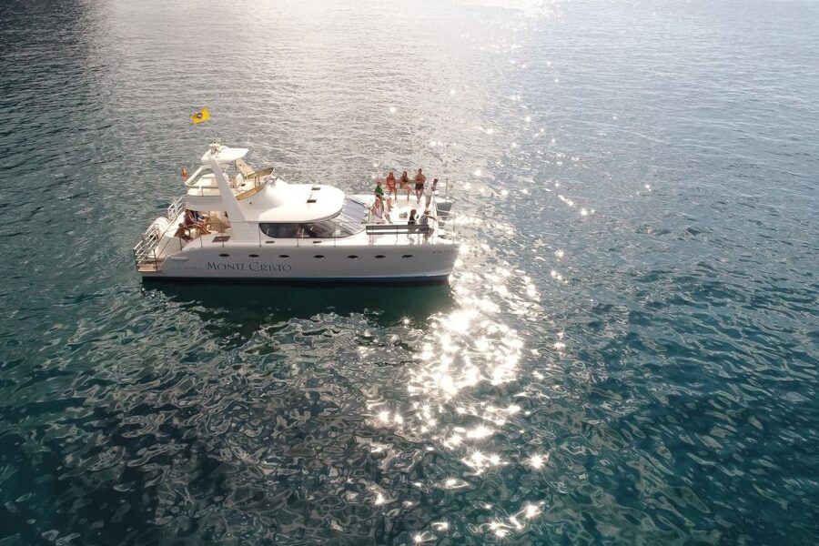 Tenerife: Marine-Life Tour with Transfer, Buffet and Drinks - What the $69 price really covers
