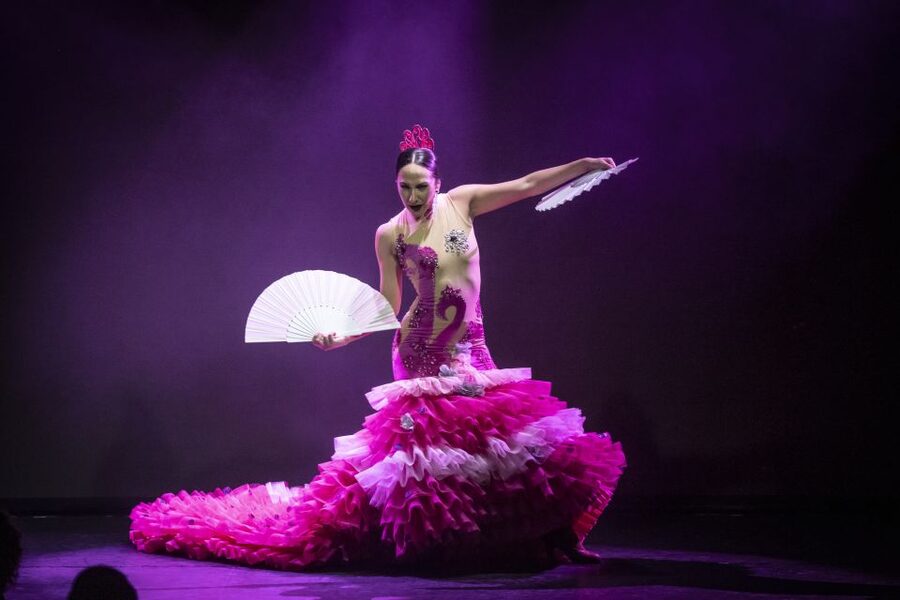 Tenerife : Olé Flamenco Show by Fran Chafino Ticket - Who will enjoy Olé most?