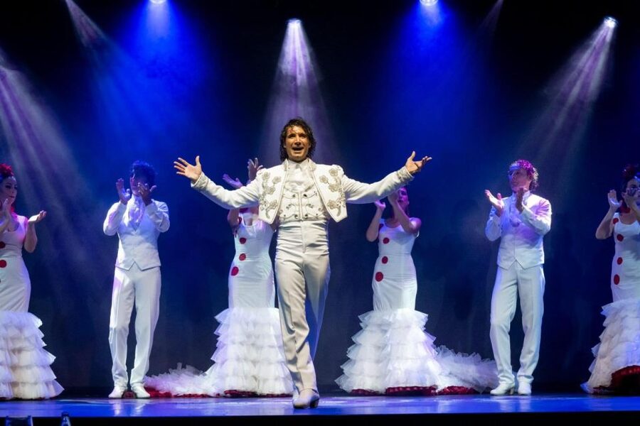 Tenerife : Olé Flamenco Show by Fran Chafino Ticket - The drawbacks to weigh honestly