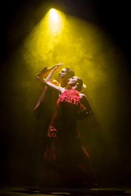 Tenerife : Olé Flamenco Show by Fran Chafino Ticket - How the 90-minute performance unfolds