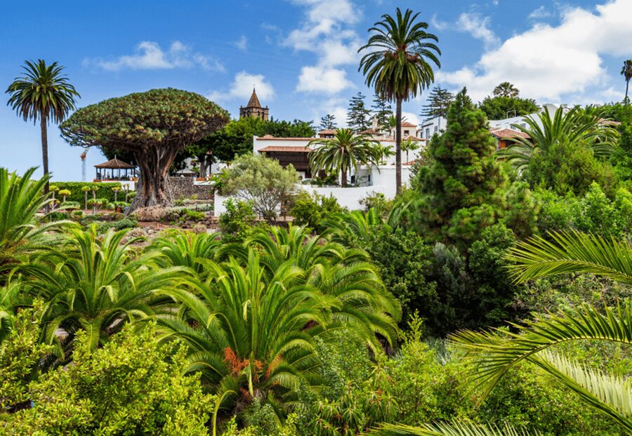 Tenerife: Private Day Tour of the Island with Hotel Pickup - Key points to know before booking