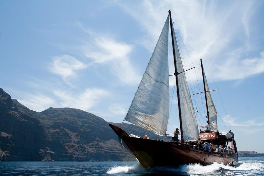 Tenerife:Respectful Whale Watching, Pirate Ship, & Swim - The swim stop and onboard bar