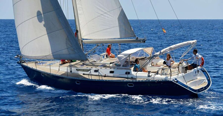 Tenerife: Sailing Excursion with Whale and Dolphin Watching - Why pilot whales are the star of this Tenerife sailing trip