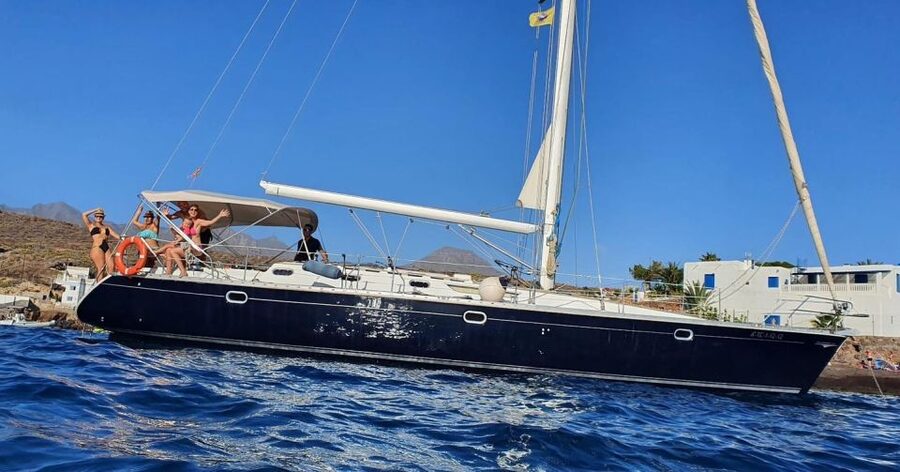Tenerife: Sailing Excursion with Whale and Dolphin Watching - How the whale and dolphin search works