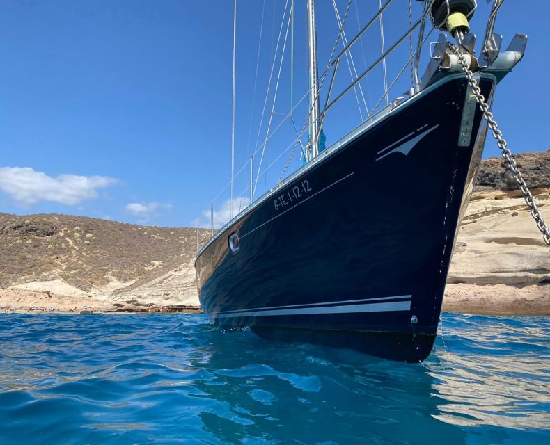 Tenerife: Sailing Excursion with Whale and Dolphin Watching - How rough can the sea be?