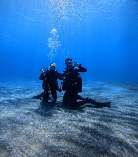Tenerife: Scuba Diving Experience for Every Level - What you might see below the surface