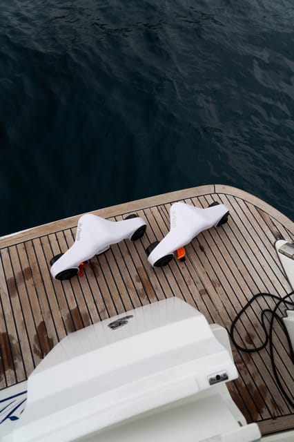 Tenerife: Shared Yacht Cruise with Champagne and Tapas - The first 45 minutes: coastline views and wildlife watching