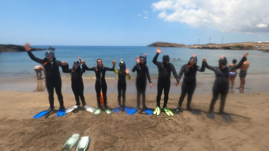 Tenerife: Snorkeling Tour in a Marine Protected Area - How the $45 price measures up