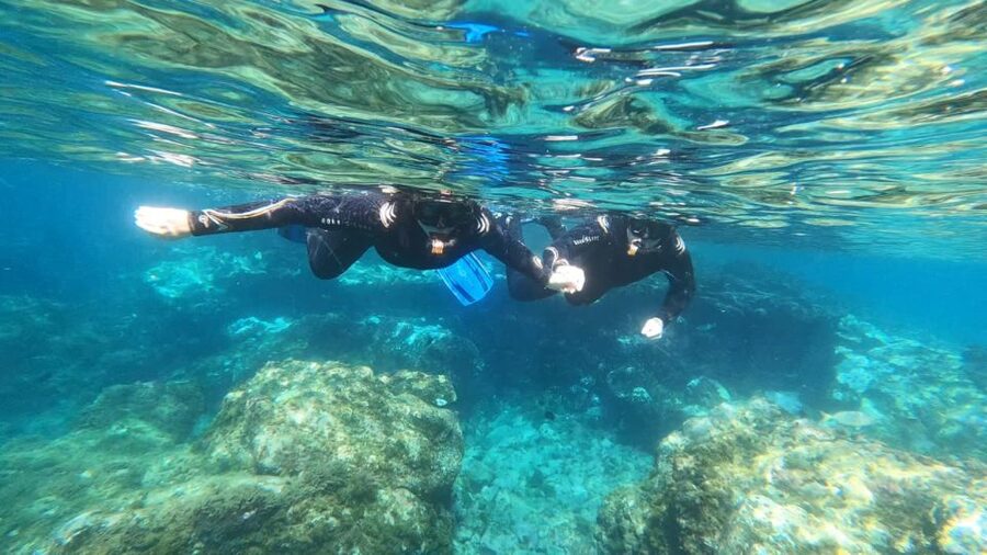 Tenerife: Snorkeling Tour in a Marine Protected Area - The briefing makes the first few minutes easier