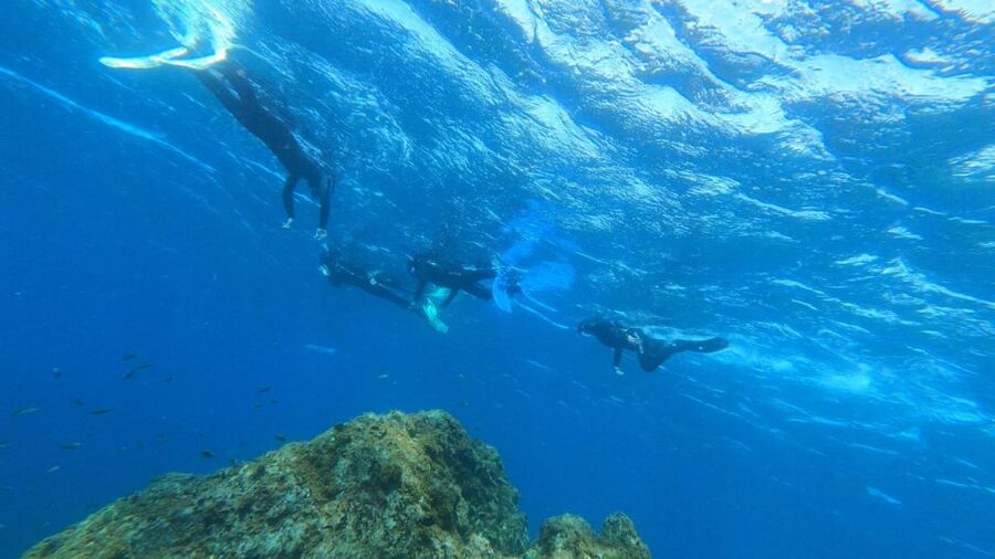 Tenerife: Snorkeling Tour in a Marine Protected Area - Getting fitted with full snorkeling gear