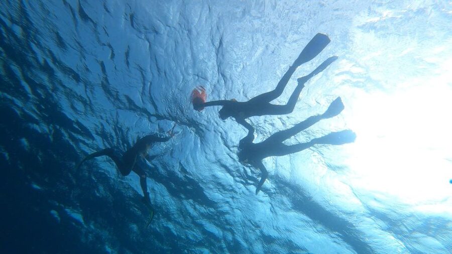 Tenerife: Snorkeling Tour in a Marine Protected Area - Entering the water from shore