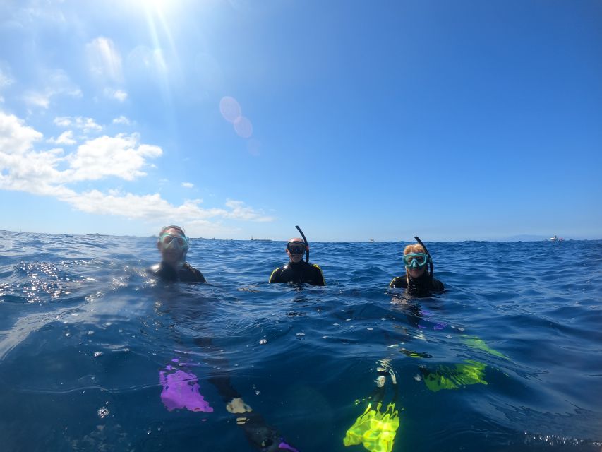 Tenerife: Snorkeling Trip in a Turtle Habitat - Should you book this Tenerife snorkeling trip?