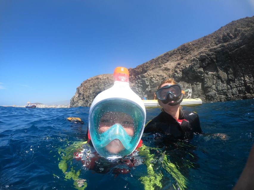 Tenerife: Snorkeling Trip in a Turtle Habitat - The speedboat ride along Tenerife’s south coast