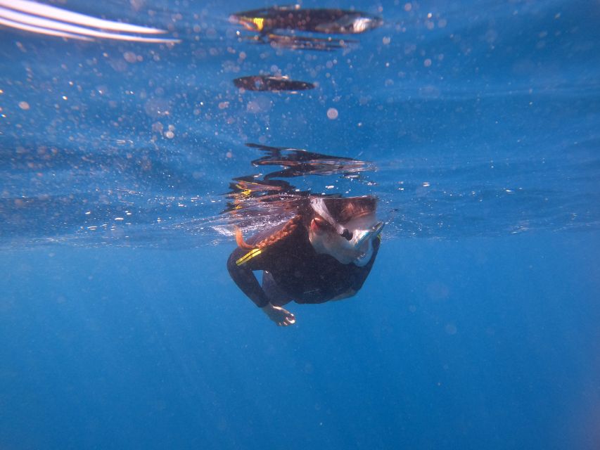 Tenerife: Snorkeling Trip in a Turtle Habitat - What the guides do well