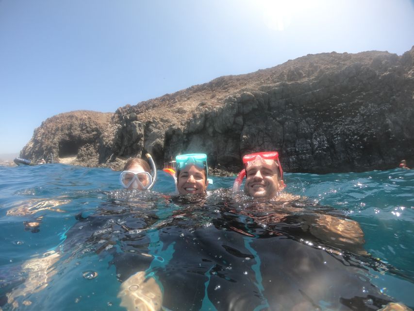 Tenerife: Snorkeling Trip in a Turtle Habitat - Who should book, and who should think twice