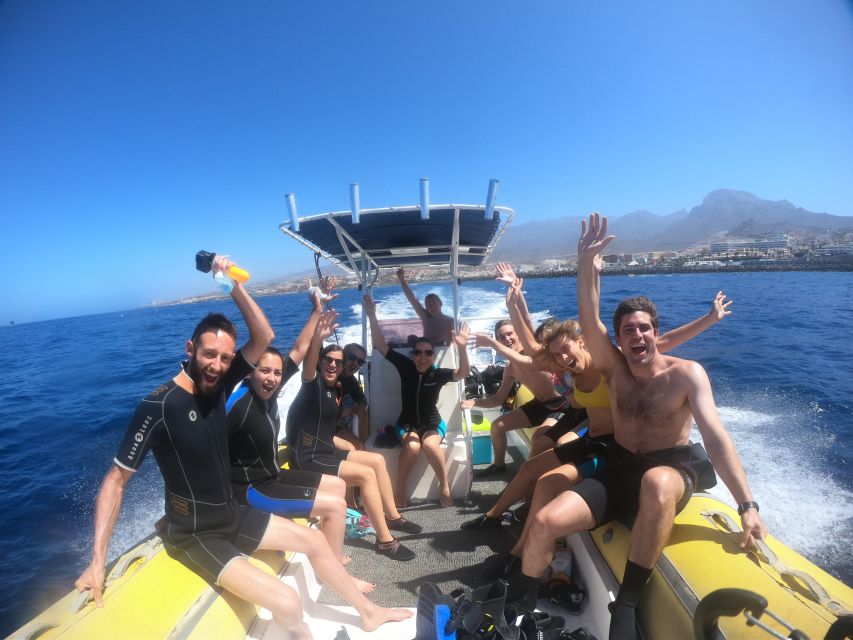 Tenerife: Snorkeling Trip in a Turtle Habitat - Practical tips for a smoother outing