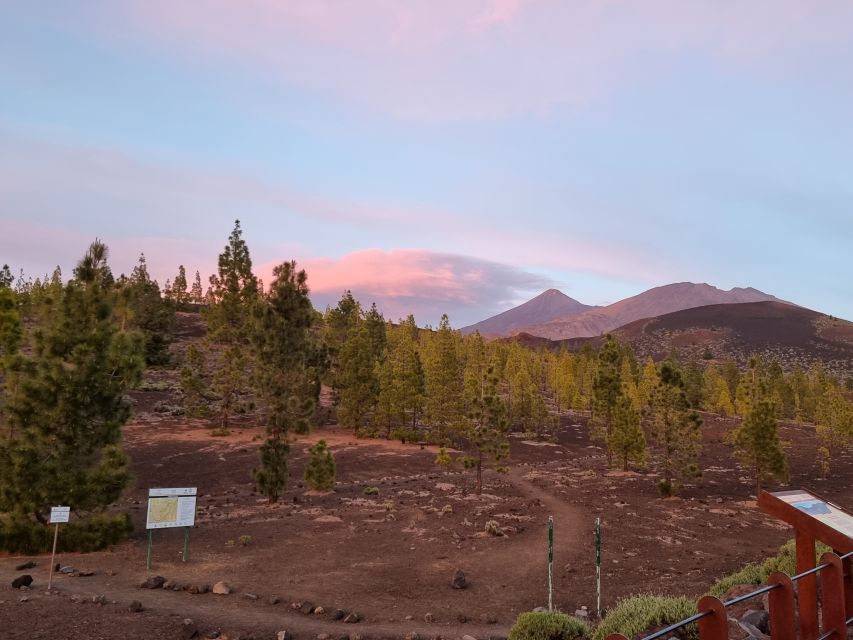 Tenerife: Sunset and Stargazing at Teide National Park - Small groups make the telescope time count