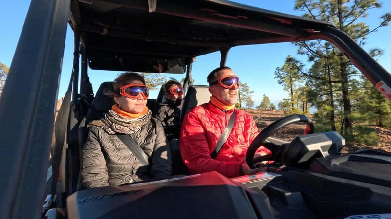Tenerife: Teide National Park Guided Buggy Tour - Who will enjoy this most?