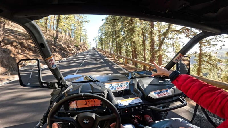 Tenerife: Teide National Park Guided Buggy Tour - Automatic buggies with room for families