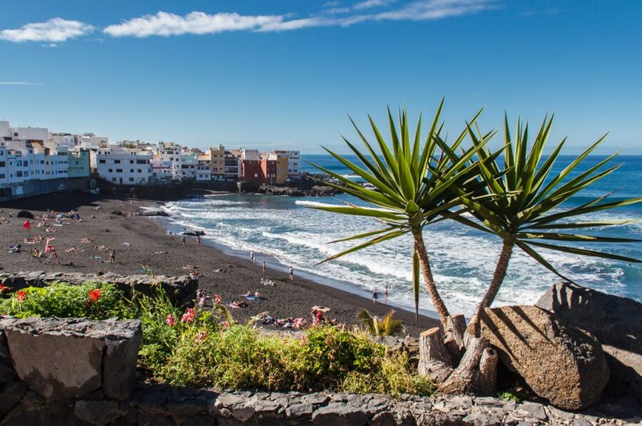 Tenerife: Trip to Puerto de la Cruz - Playa Jardín and the northern coast