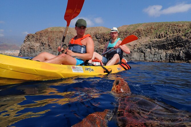 Tenerife: Turtle & Dolphin Kayak Tour with Snorkel & Wetsuit - The Guaza Mountains from Sea Level
