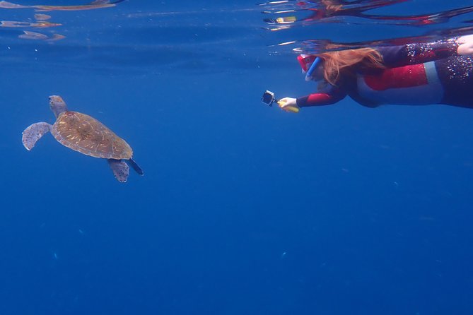 Tenerife: Turtle & Dolphin Kayak Tour with Snorkel & Wetsuit - The Return with Mount Teide in View
