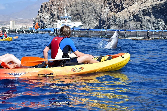 Tenerife: Turtle & Dolphin Kayak Tour with Snorkel & Wetsuit - What the $42 Price Really Buys You