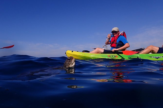 Tenerife: Turtle & Dolphin Kayak Tour with Snorkel & Wetsuit - Timing, Weather, and What to Pack